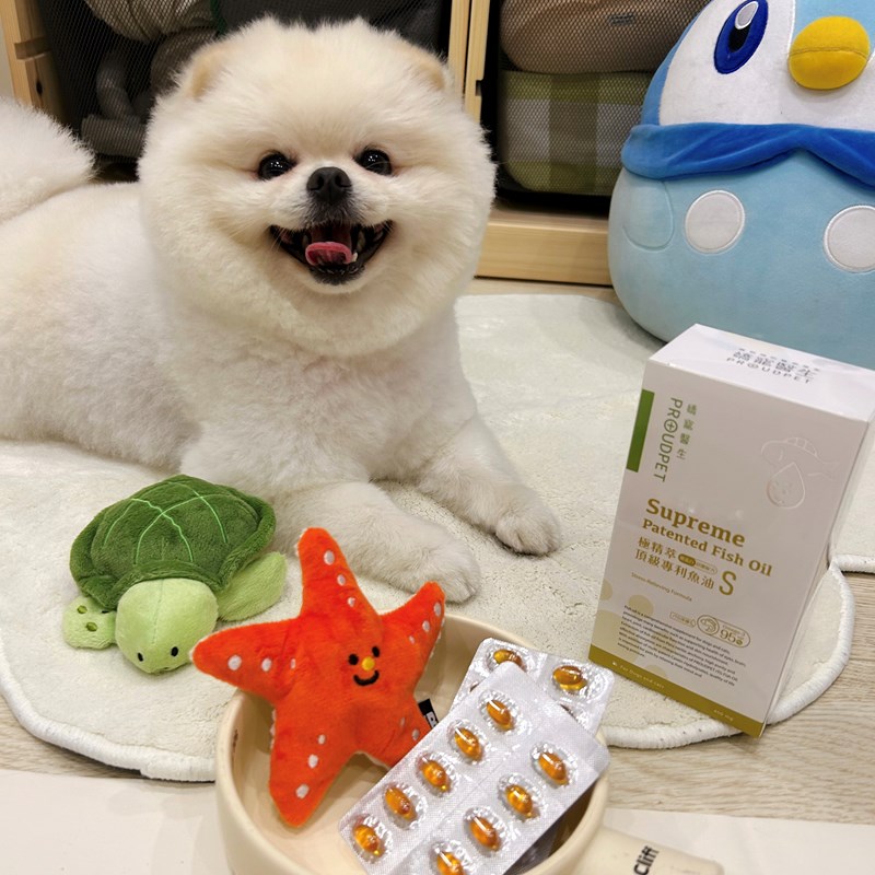 試用